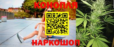 прущие грибы Чебоксары