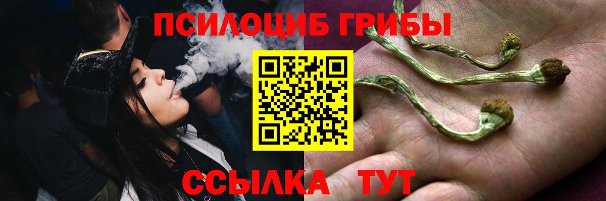 Видное  цена наркотик  Вход с VPN  Псилоцибиновые грибы мухоморы 